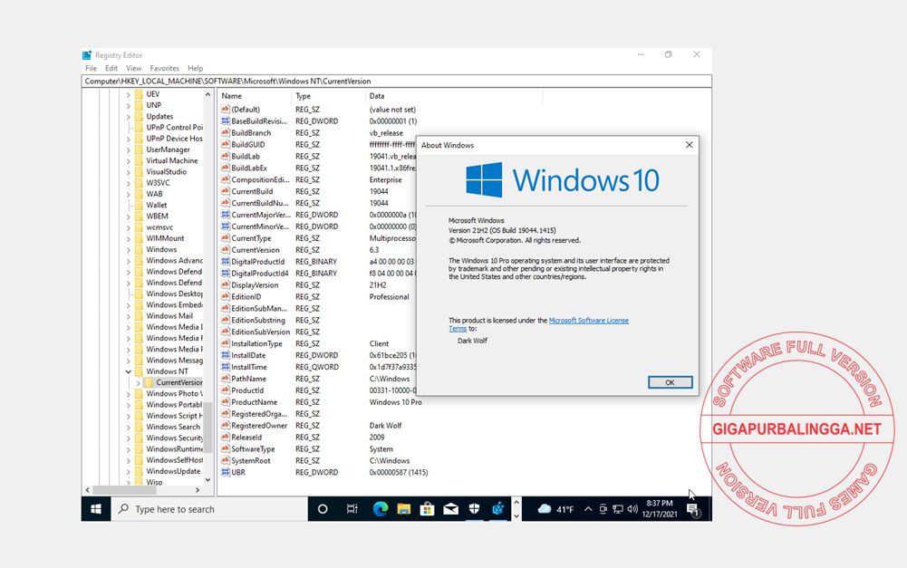 Download Windows 10 Pro 21H2