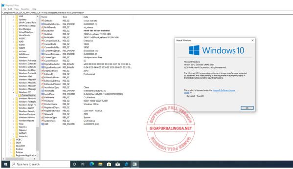 Windows 10 Pro 20H2 ISO