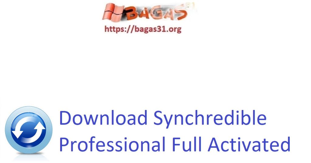 Download Synchredible Professional Full Activated